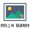 ZLPG系列中藥浸膏噴霧干燥機
